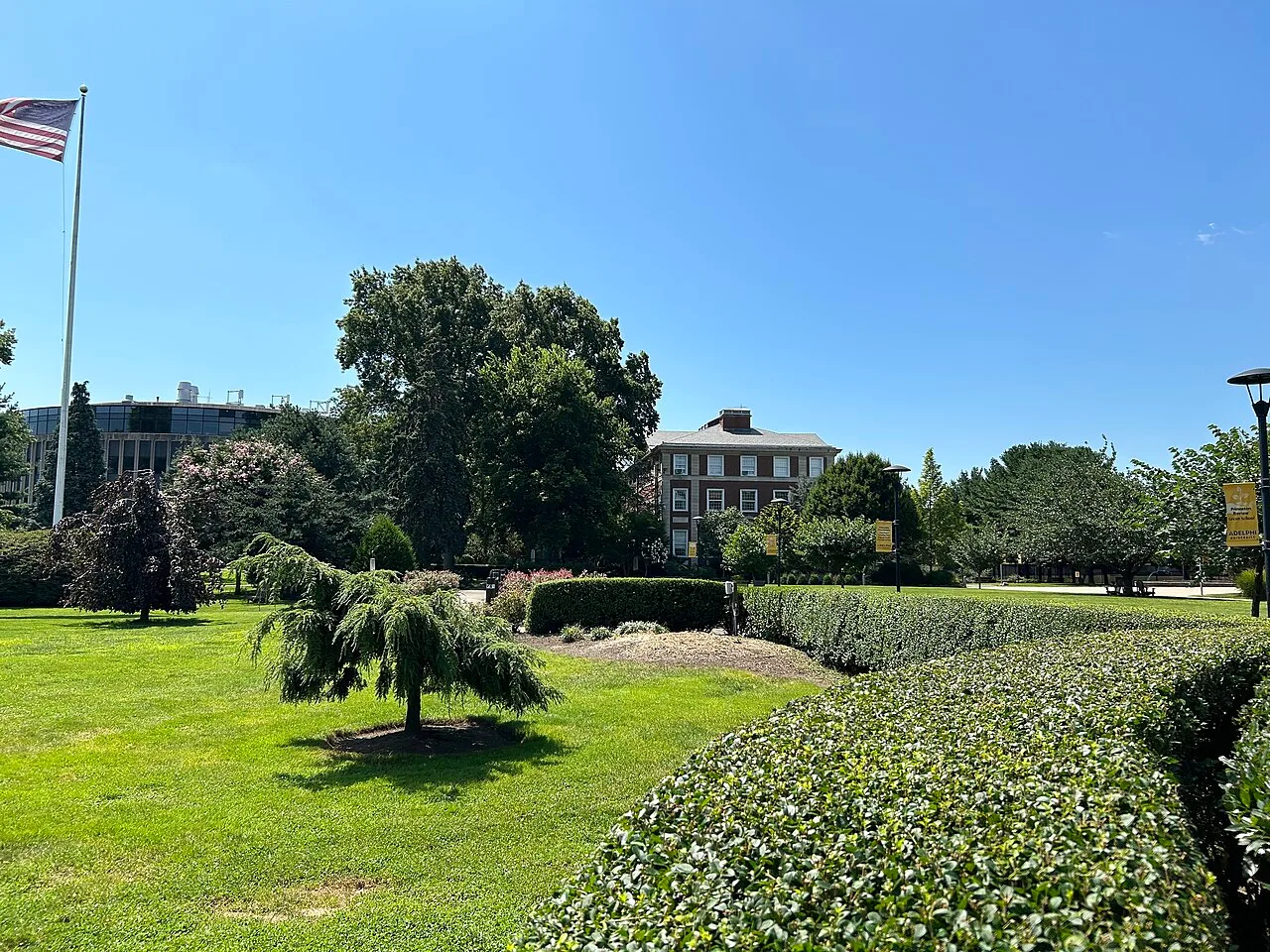 Adelphi University