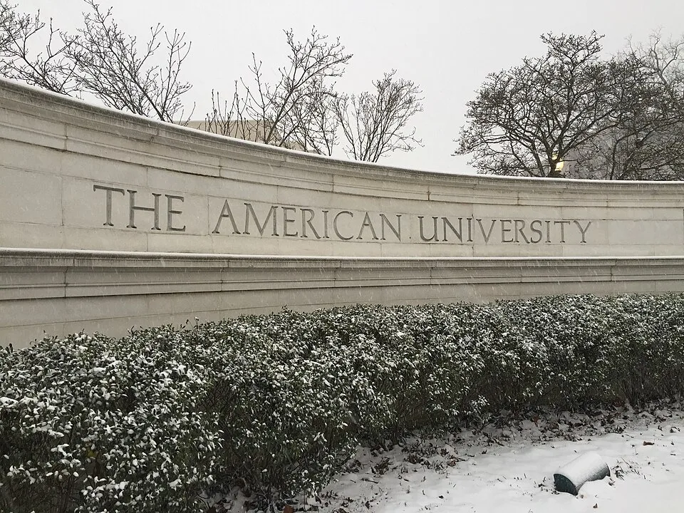 American University