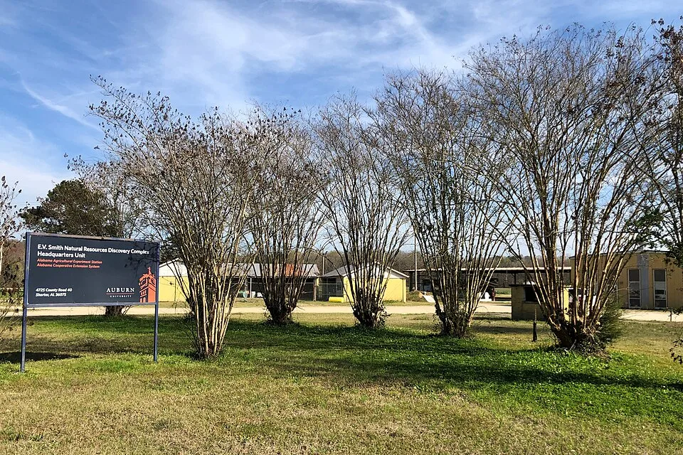 Auburn University
