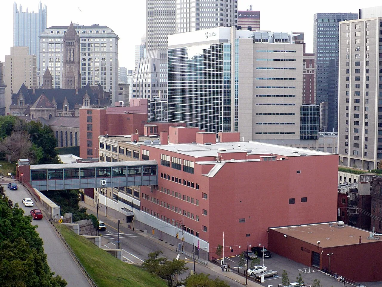 Duquesne University