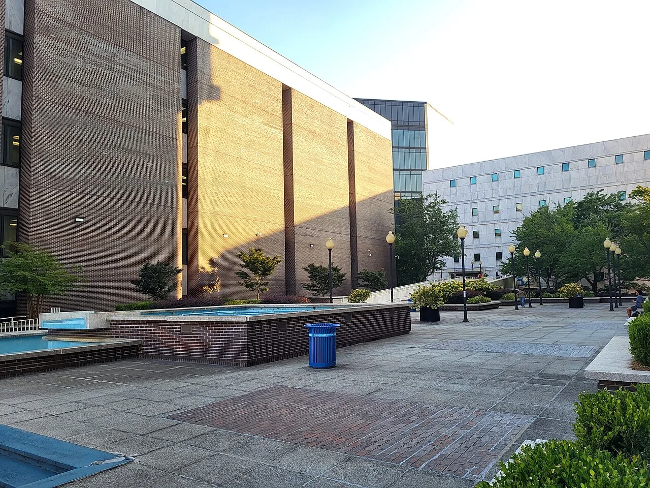 Georgia State University