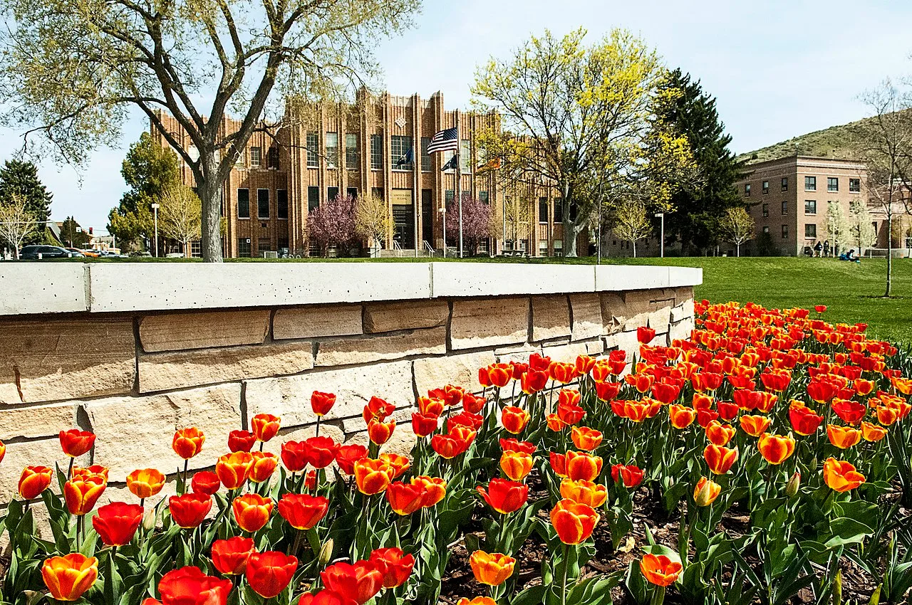 Idaho State University