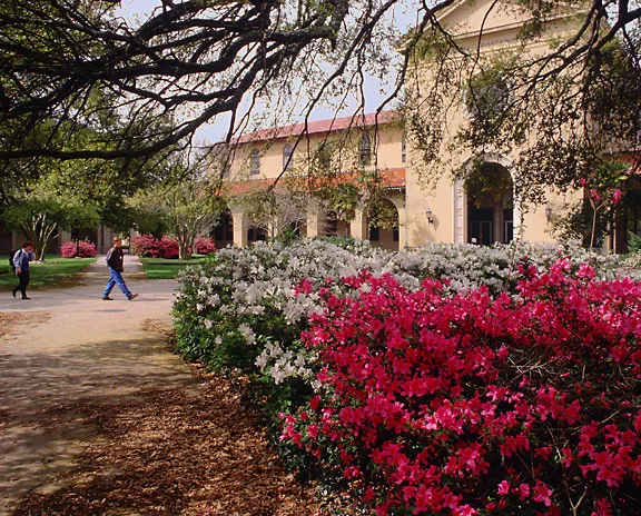 Louisiana State University and Agricultural & Mechanical College