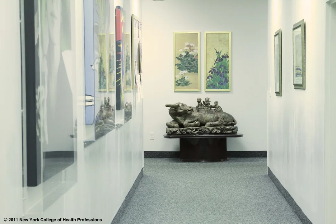 New York College of Health Professions