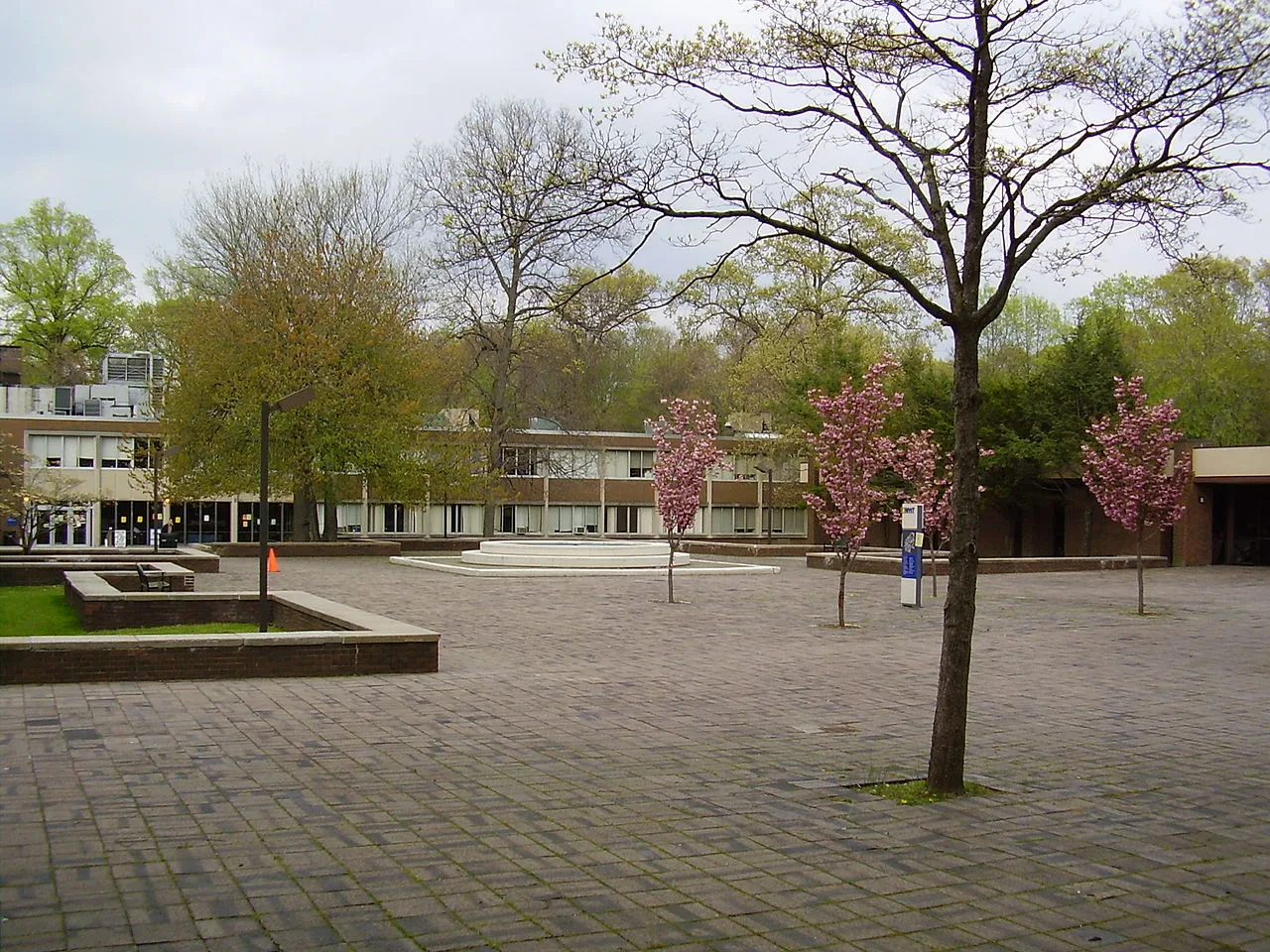 New York Institute of Technology