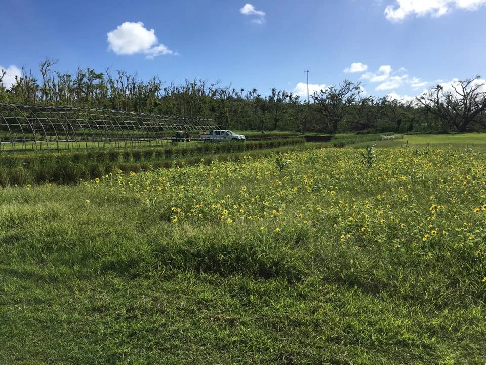Northern Marianas College
