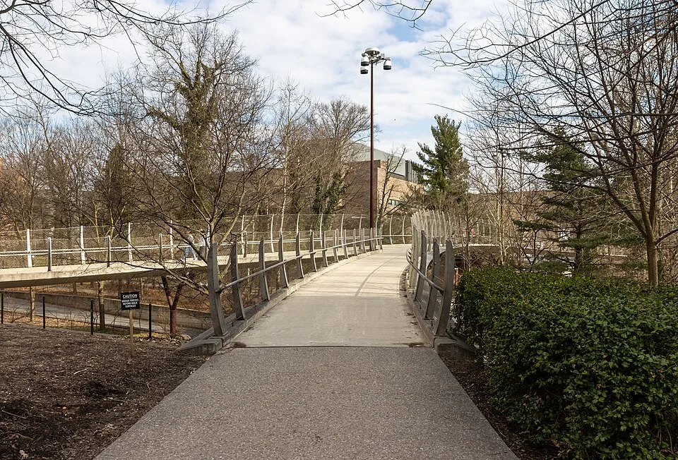 Princeton University