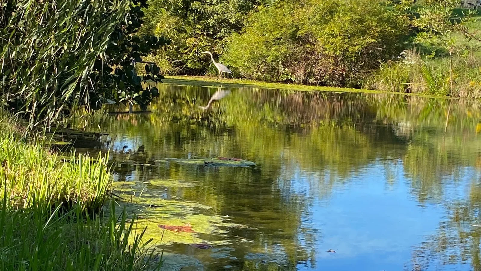 Santa Ana College