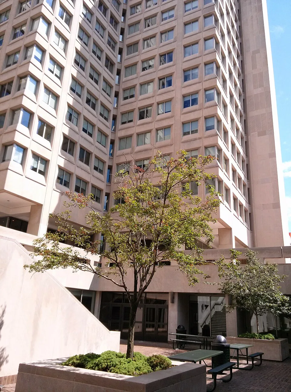 Temple University
