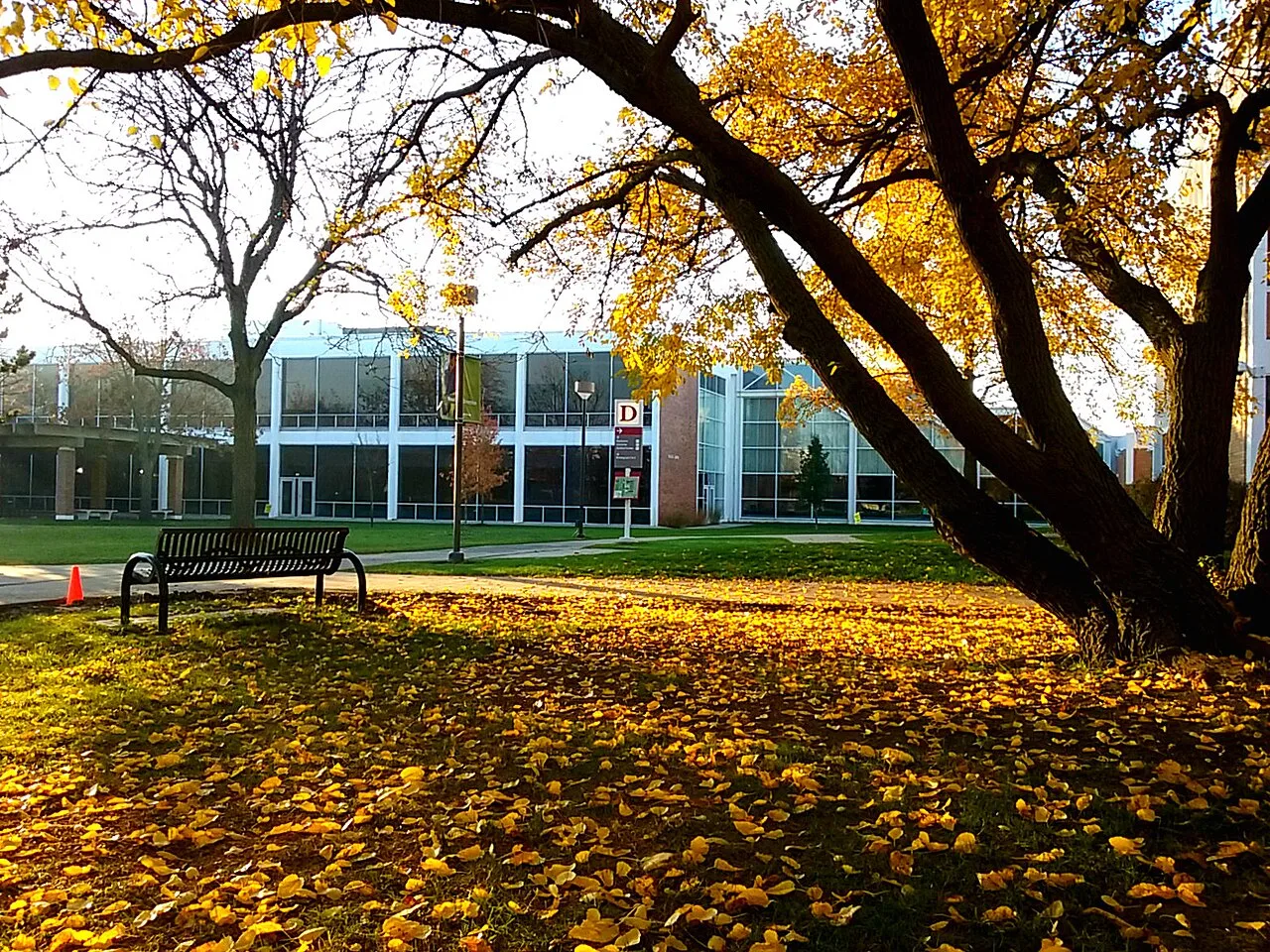 Triton College