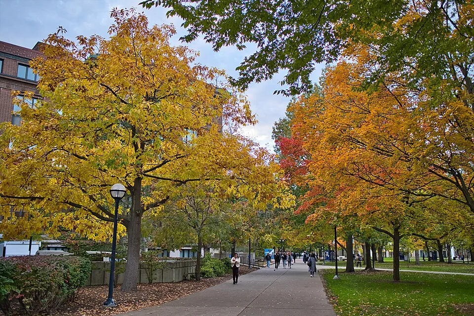 University of Michigan--Ann Arbor