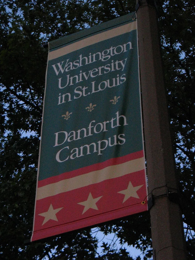 Washington University in St. Louis