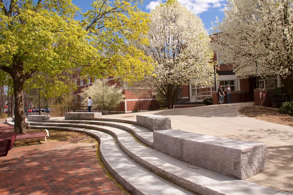 Western New England University