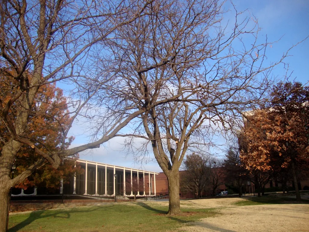 Wichita State University