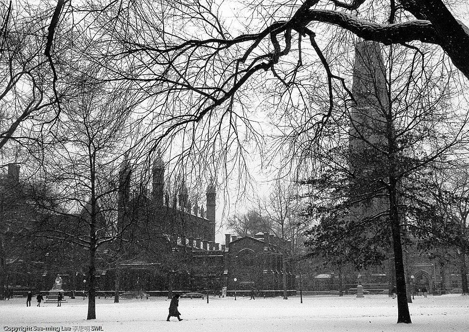 Yale University