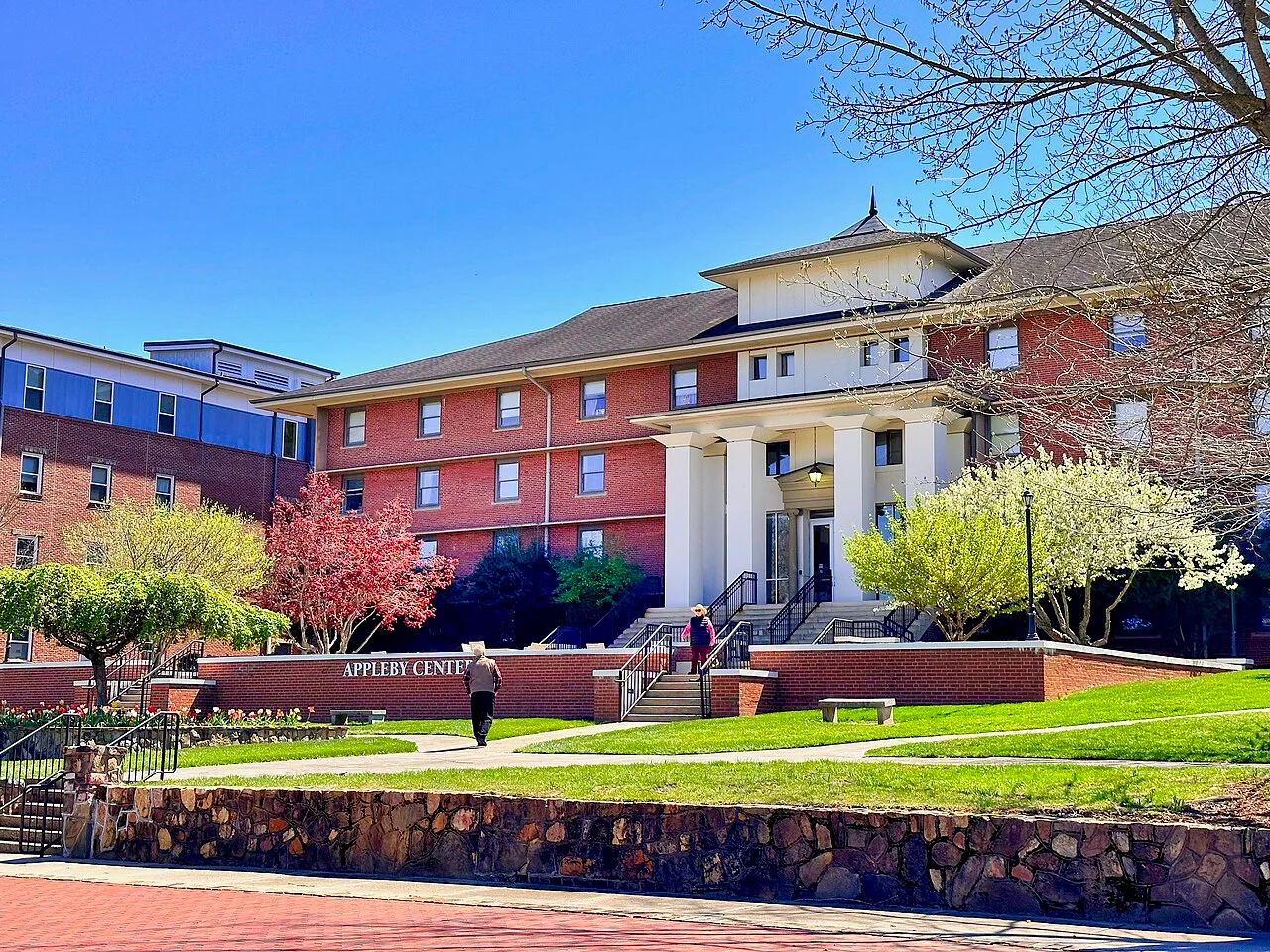 Young Harris College